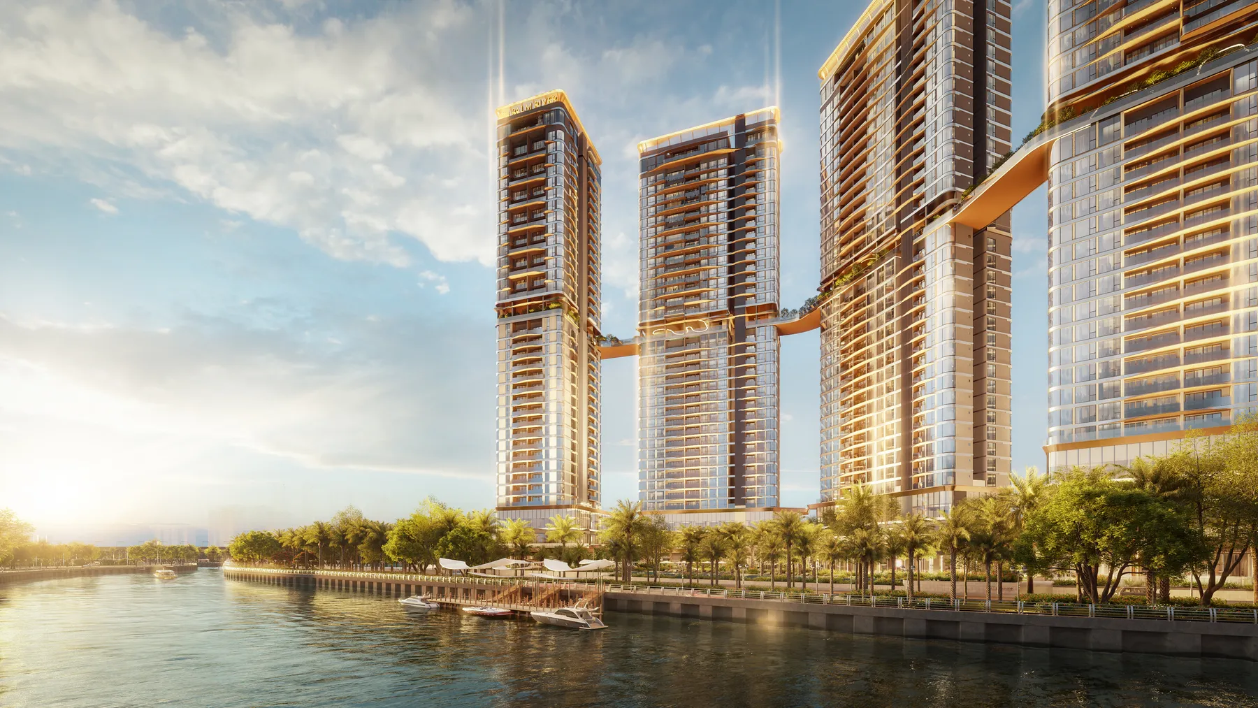 Bờ sông trước Palm River với đường dạo và hàng cọ